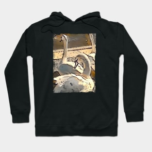 Swans' Dreams Hoodie